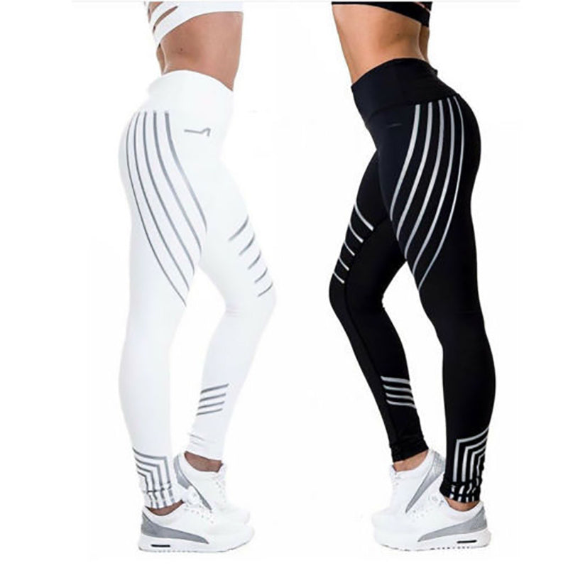 Sport Legging Fashion